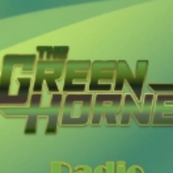 Green Hornet Miss Kato Sexy Chauffeur Women's Deluxe Costume 🆕📦🏃💨🚚 - Picture 15 of 16